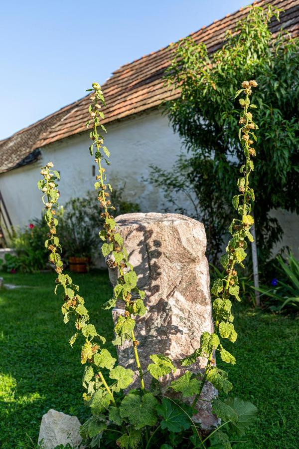 Weissenbacherhof Oslip Екстер'єр фото